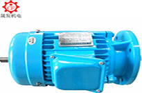 按需定制，東莞電機(jī)！