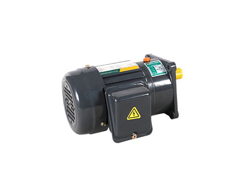 200W立式小型交流齒輪減速電機(jī)